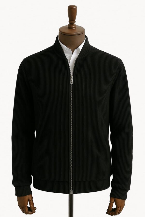 Blouson Noir